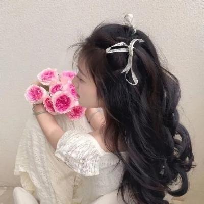 银海传奇 在线观看