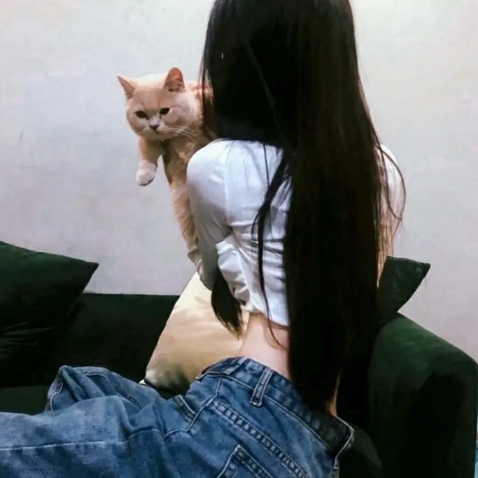 洛阳桥 在线观看